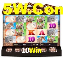 Sinta a adrenalina dos jogos de cassino com 10Win